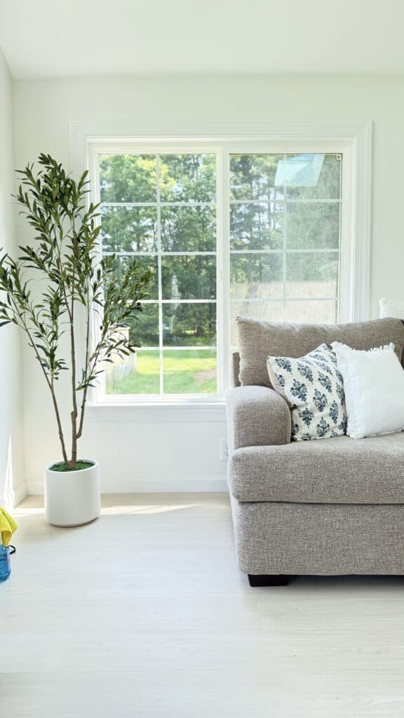 Bright living room with large window, cozy sofa, and indoor plant for a welcoming home atmosphere.