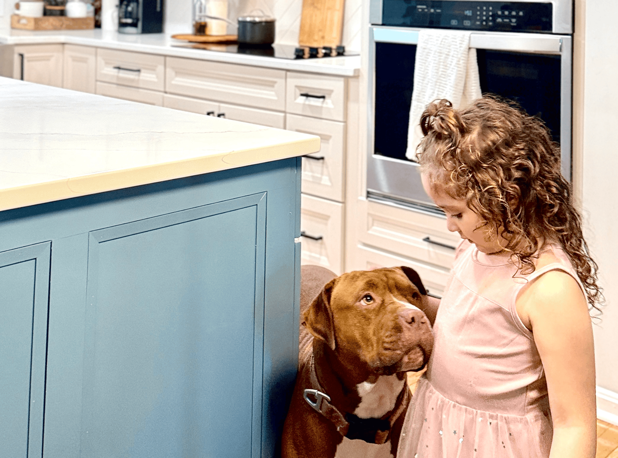 Young girl with a dog in a modern kitchen, showcasing home renovation and interior design.